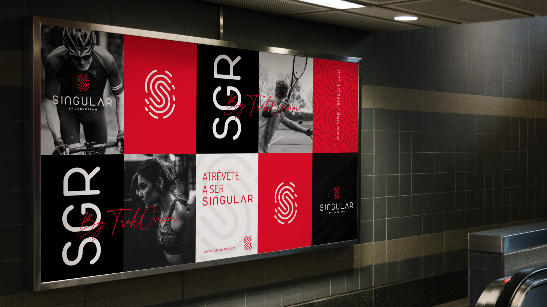 trabajo/singular-proyecto-de-branding-diseño-web