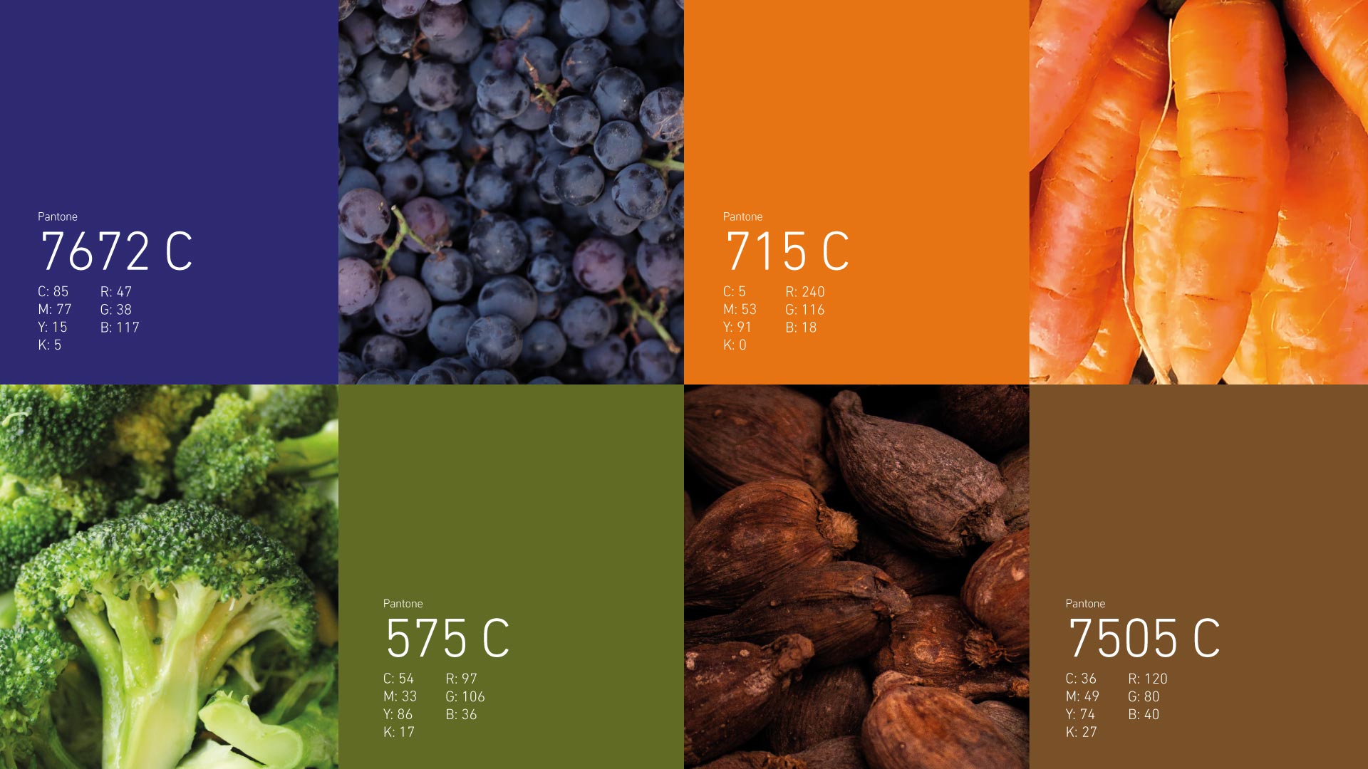 trabajo-classica-branding-paleta-de-color