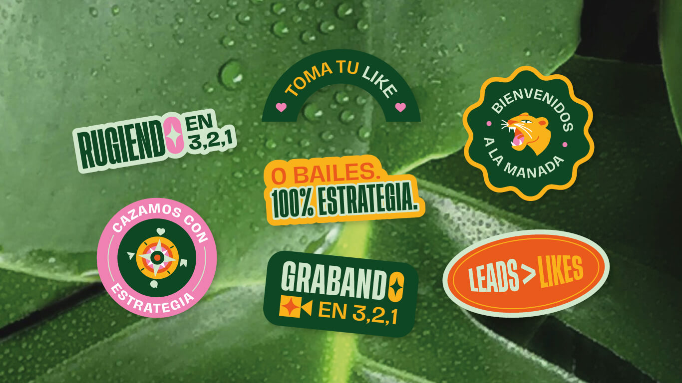 branding Selva Leona diseño de stickers